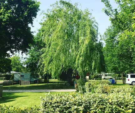 Camping La Cigale