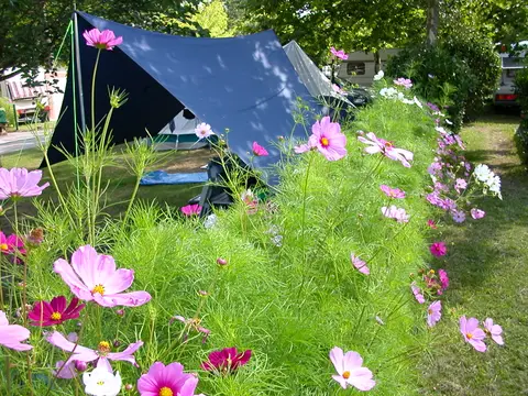 Camping La Cigale