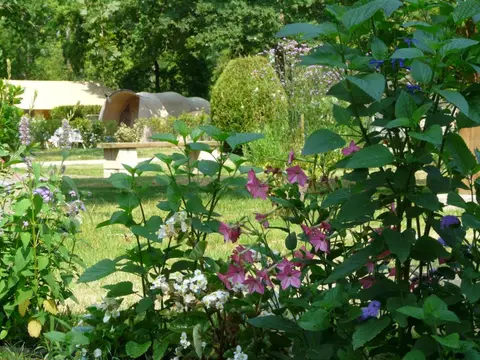 Camping La Cigale
