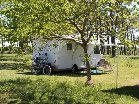 Camping Le Dauphin