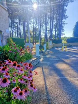 Camping la Rouvière les Pins