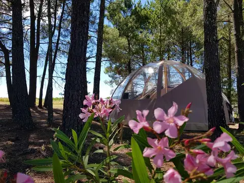 Camping Hello Soleil