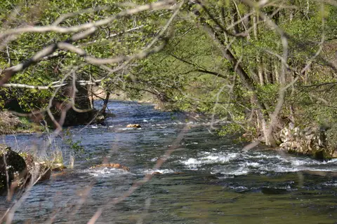 Camping du Viaduc