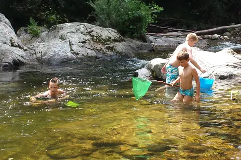 Camping l'Ardéchois