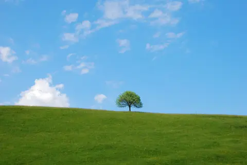 Camping à la Ferme du Bout de la Ville