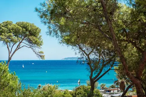 La Pinède