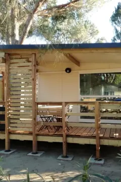 La pinède enchantée