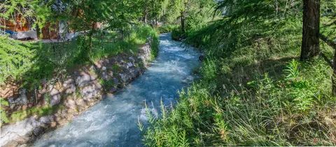 Les Mélèzes