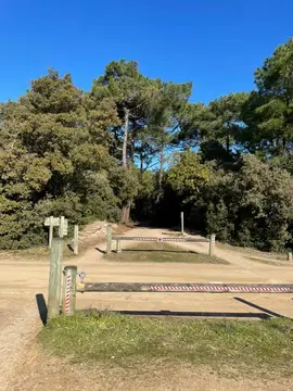 Le Petit Bois