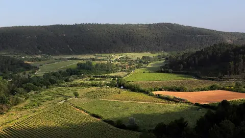 L'Olivigne