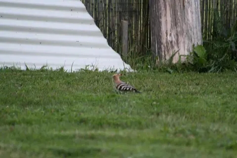 Camping les deux Rivières