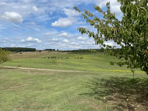 Parc Saint-Vincent
