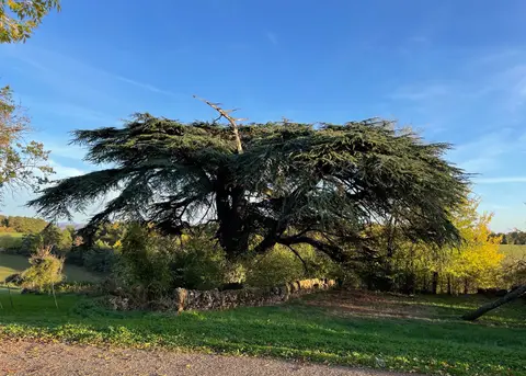 Camping de La Tâcherie