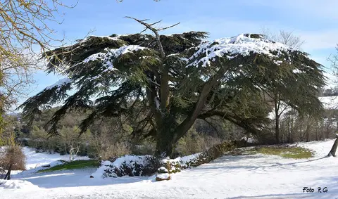 Camping de La Tâcherie