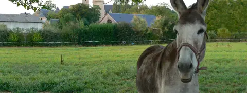 La Ferme de La Borde