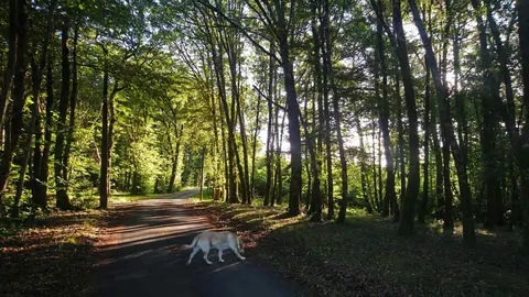 Camping le Temps de Vivre