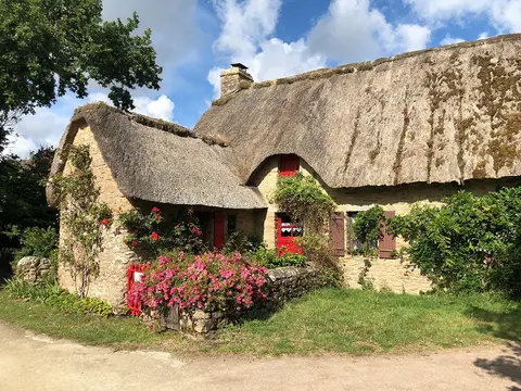 Fleur de Brière
