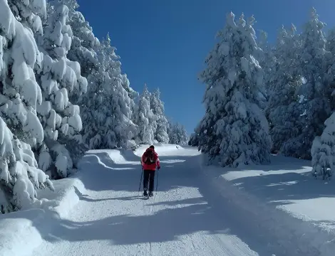 Camping des Portes d’Ariège