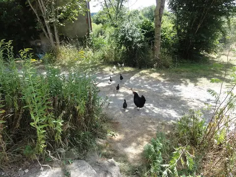 La Chassagne