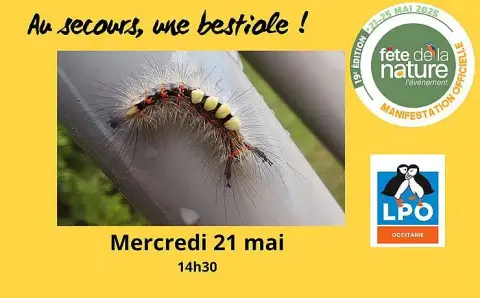 Camping Le Rêve