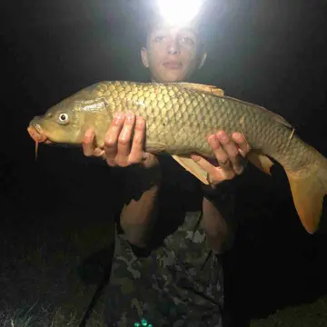 Camping Lune sur le Lac