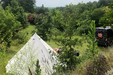 Le Marcassin