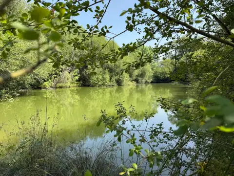 Camping de Bergougne