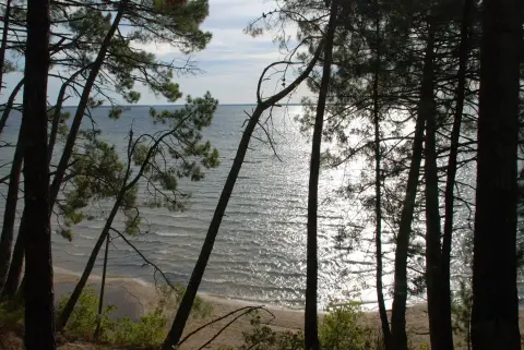 Aire de Camping-Cars du Lac Cazaux