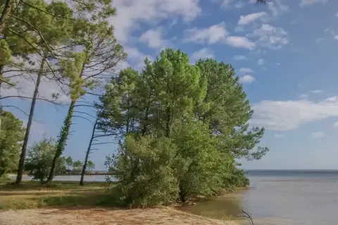 Aire de Camping-Cars du Lac Cazaux