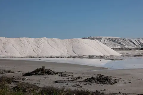 Les Bois Flottés