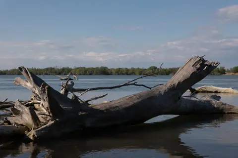 Les Bois Flottés