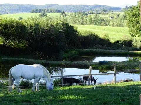 Domaine de la Forêt