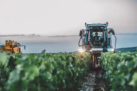 Domaine Alain Geoffrey