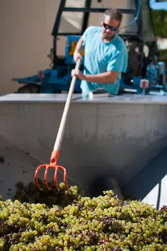 Domaine Alain Geoffrey