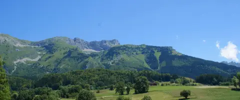 Camping des Myrtilles