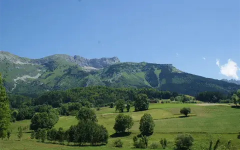 Camping des Myrtilles