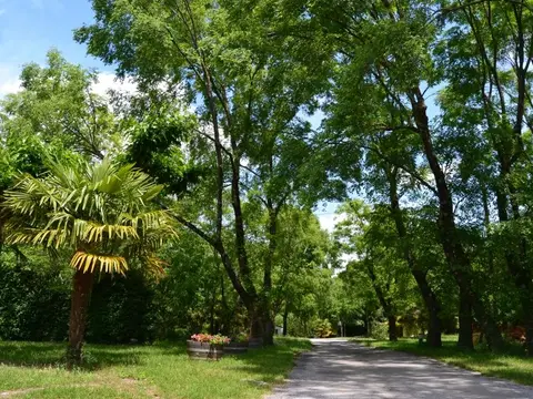 Camping les Roches