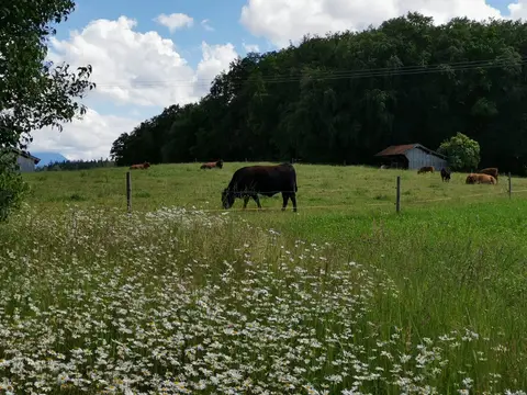 Naturcamping auf dem bauernhof