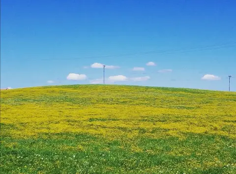 Naturcamping auf dem bauernhof