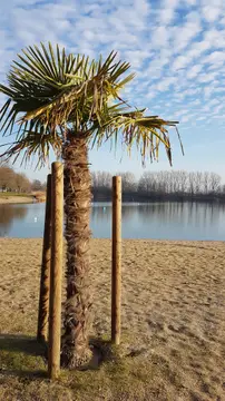 Freizeitzone Riedsee