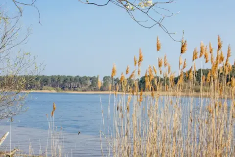 Aire de Camping car des Bardets