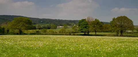 Summerhill Farm