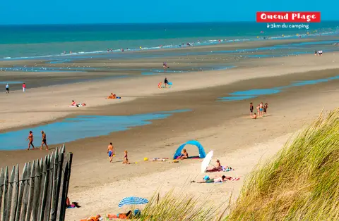 Dune Fleurie