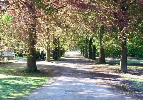 Bergendal