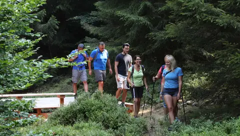 Trekkingcamp Wolfsheulen