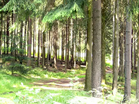 Wohnmobilstellplatz der Katzsteinbaude