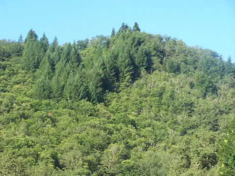 Camping de la Chantellerie