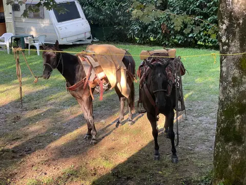 Camping La Cavalerie