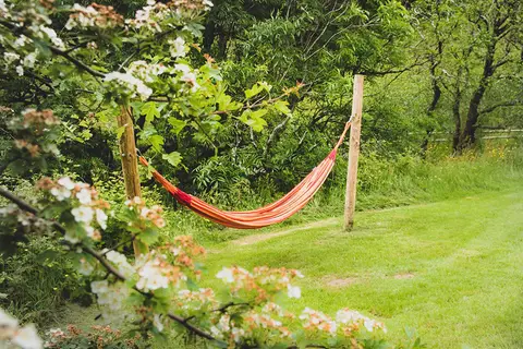 Strawfields