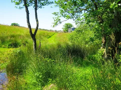 Strawfields